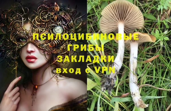 прущая мука Алексин