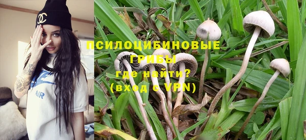 Альфа ПВП Алзамай